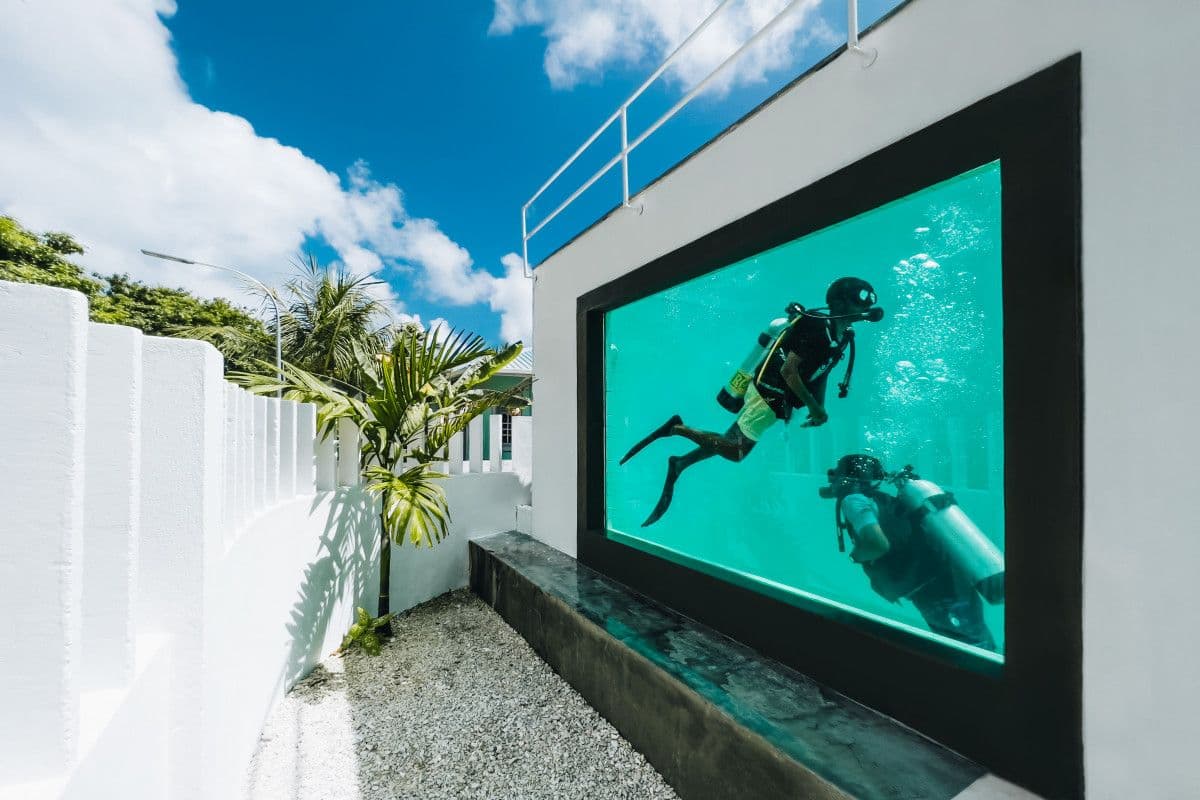 Deep-pool dive training
