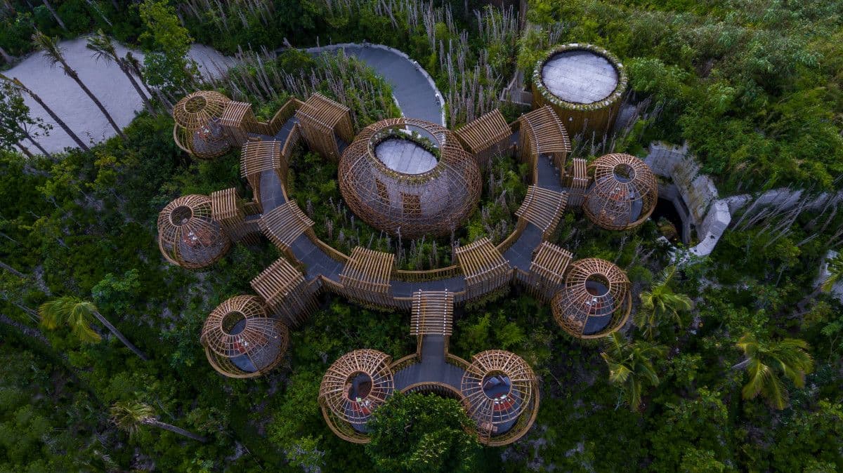 Treehouse experience