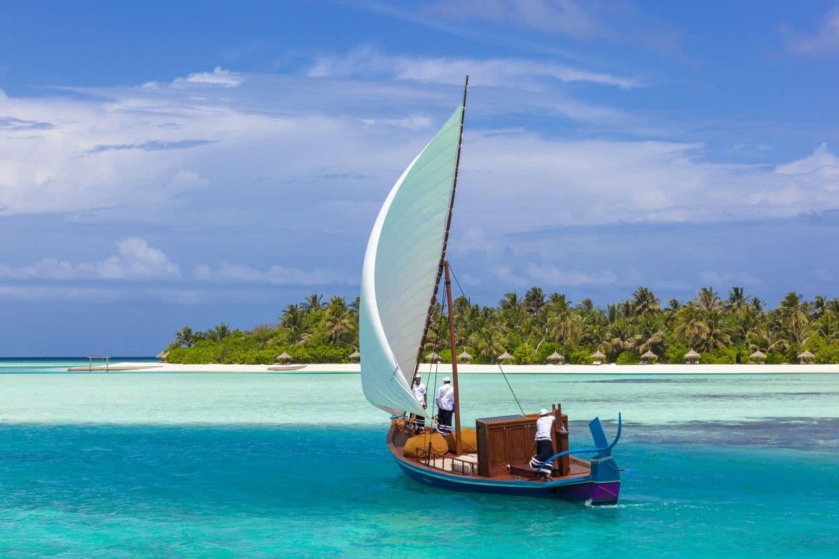 Dhoni sailing