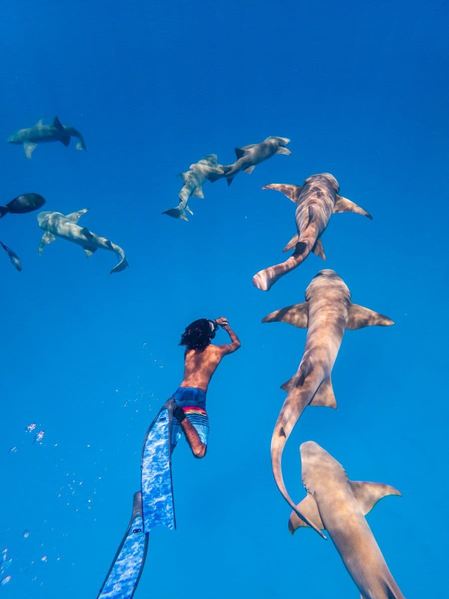Lagoon swimming