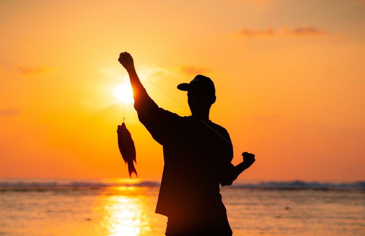 Pole-and-line fishing