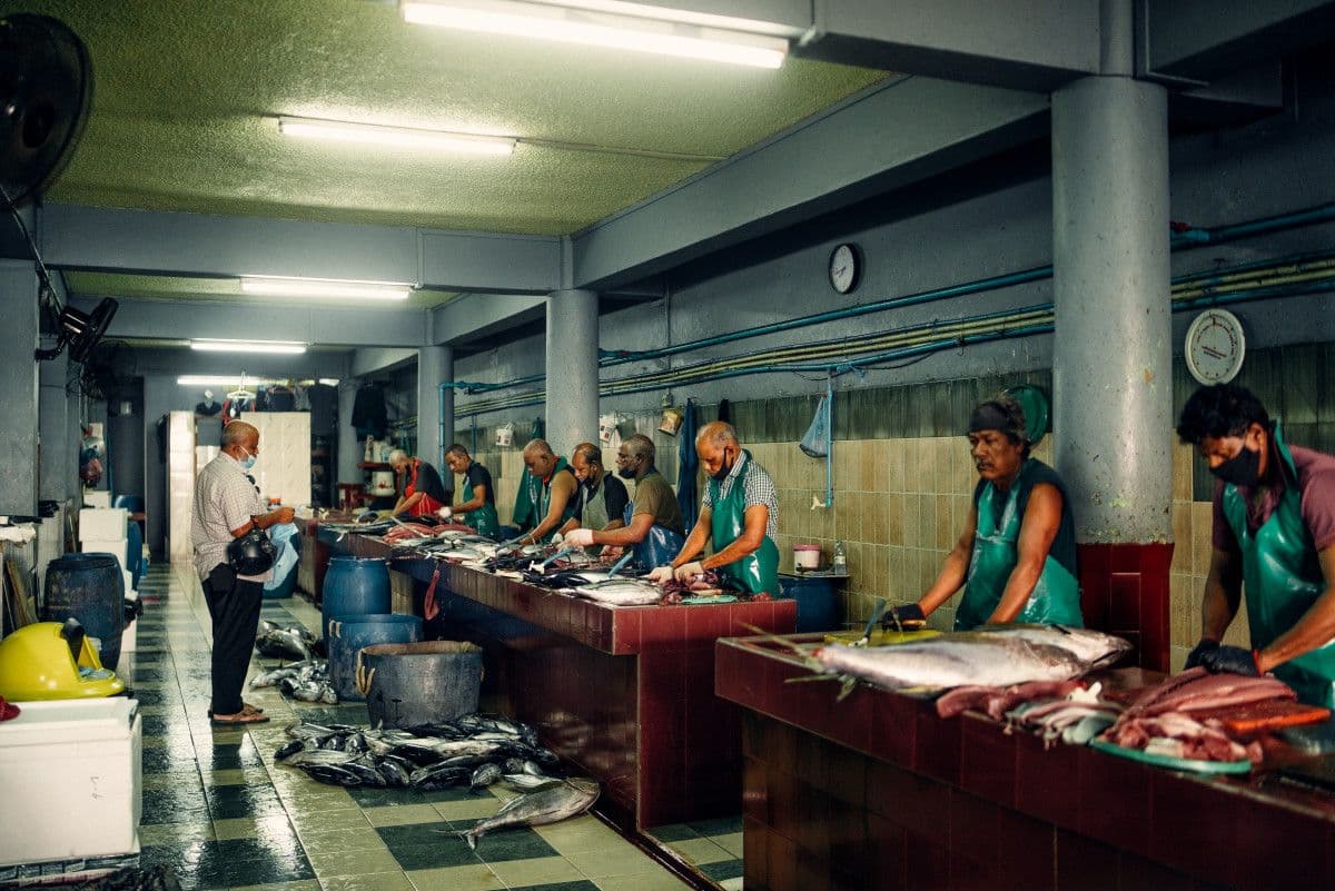 Male fish market