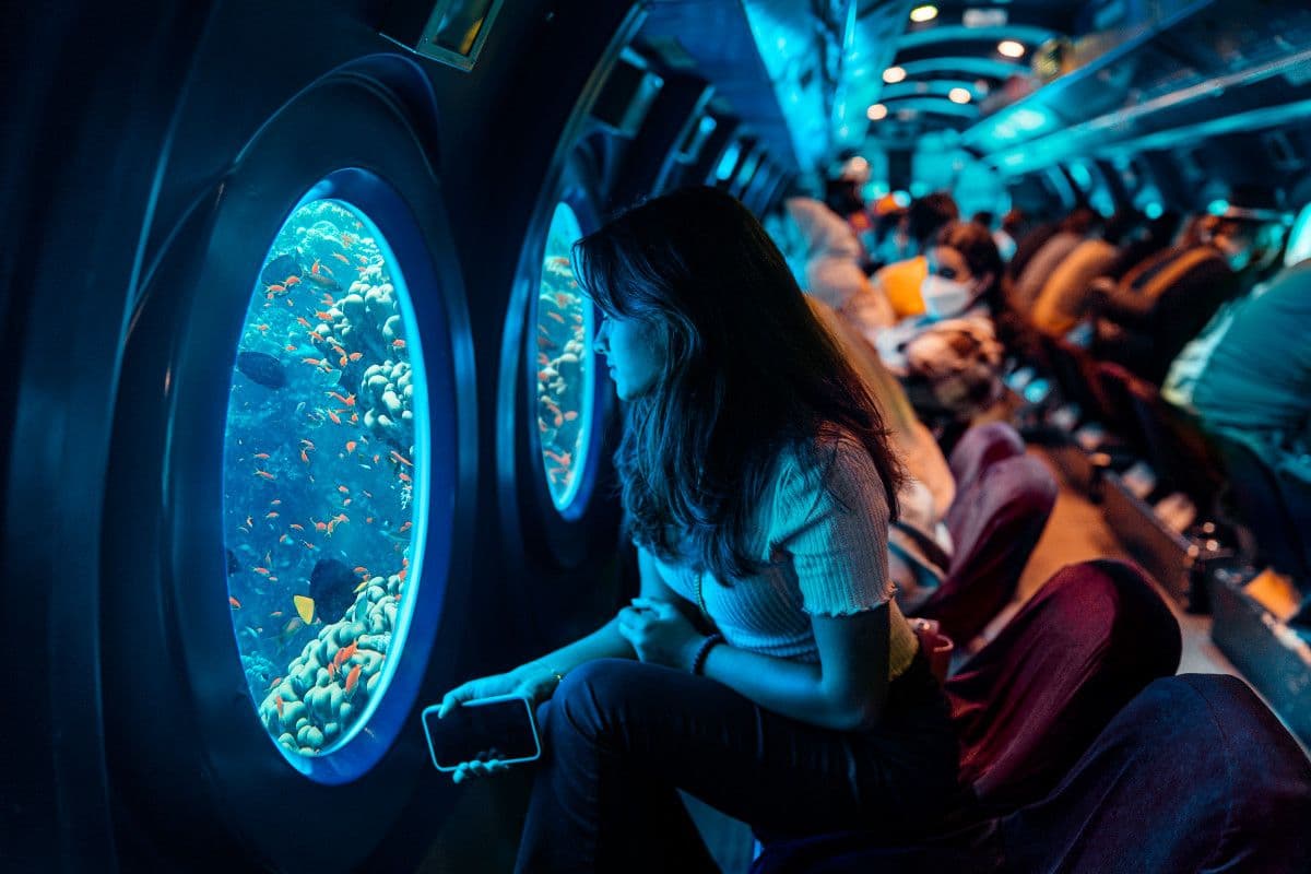 Whale submarine tour