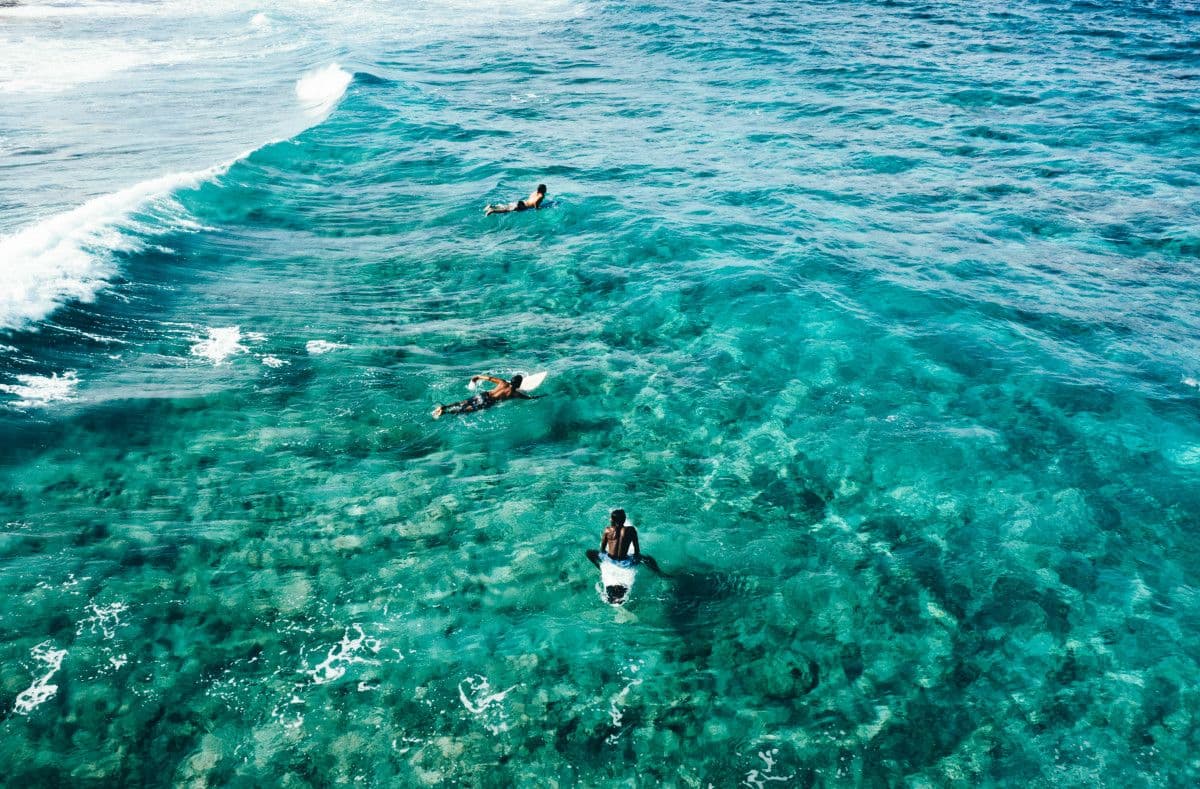 Visit a surf break